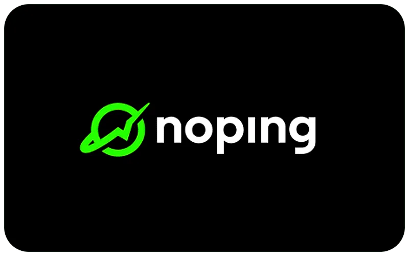 NoPing: 12 Month Subscription cover art