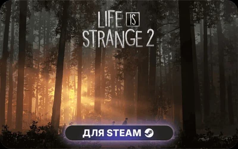 Life is Strange 2 - Episode 3 cover art