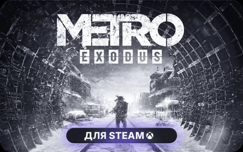 Metro Exodus: The Two Colonels cover art