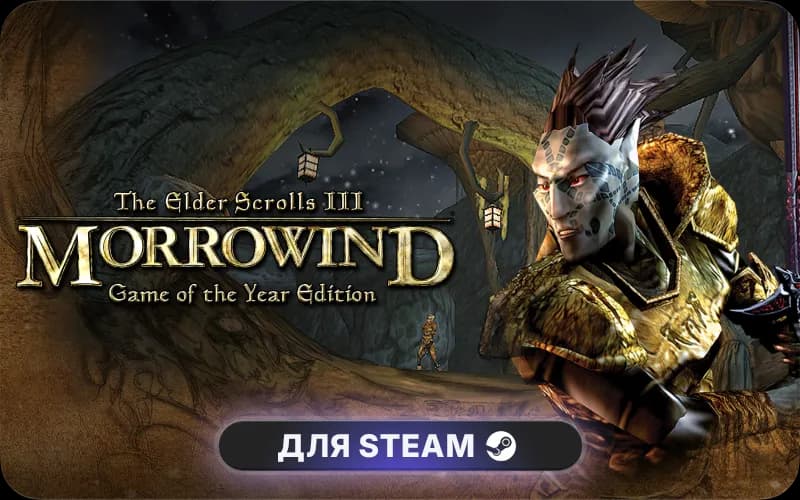 The Elder Scrolls III: Morrowind® GOTY cover art