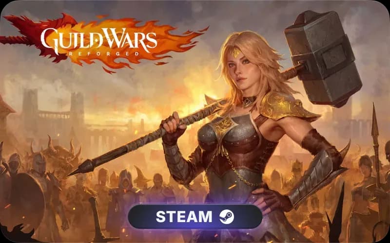 Guild Wars® Reforged cover art